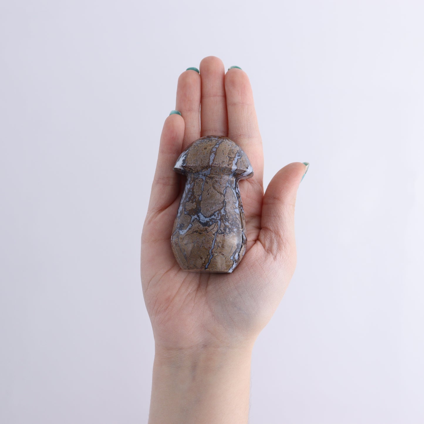 Brecciated Jasper Mushrooms Set of 12 - Expert Wholesale and Supplier of Wholesale Crystals & Bulk Gemstones, ["Brecciated Jasper","Indonesia","Mushrooms"]