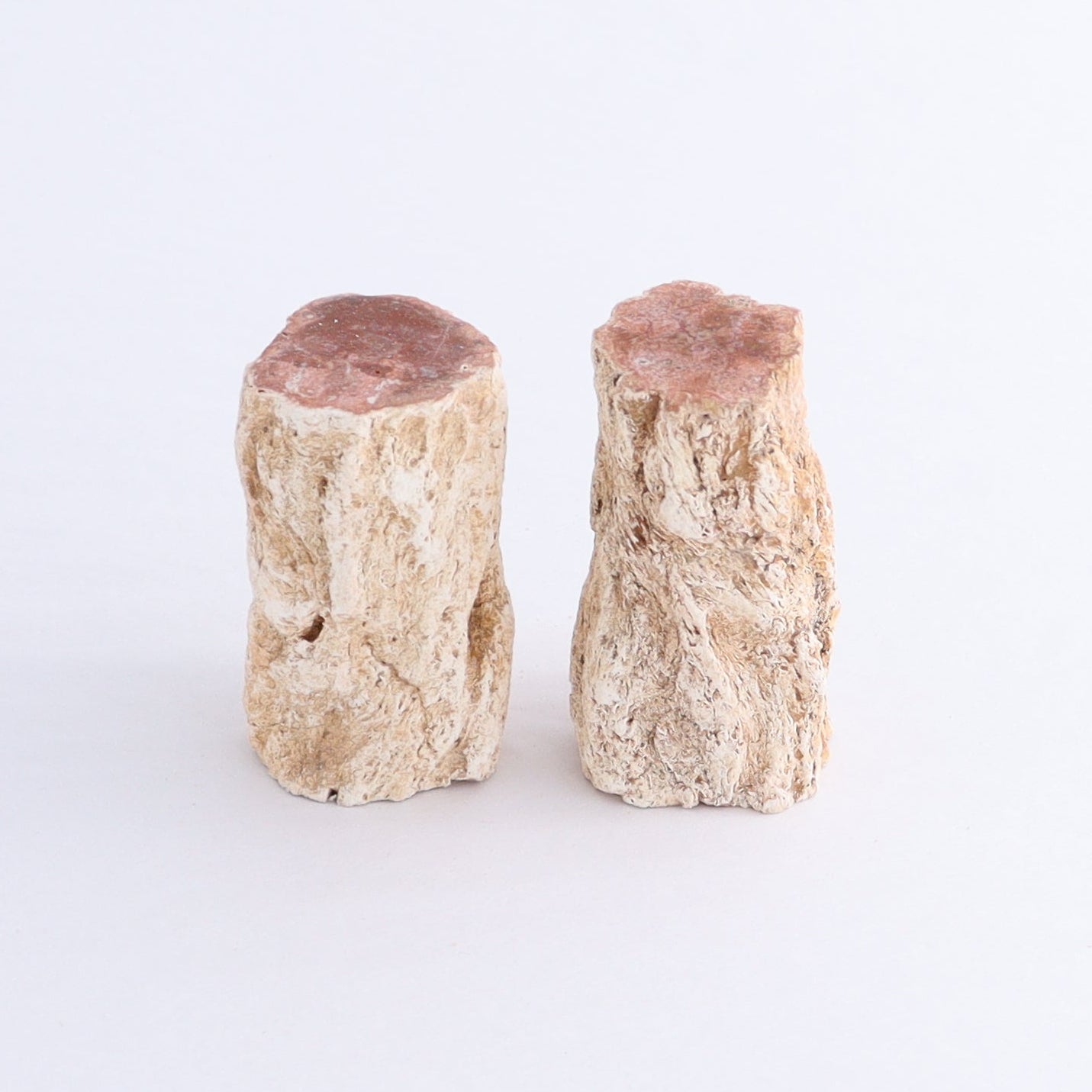 Petrified Wood Cut Bases Set of 10 - Expert Wholesale and Supplier of Wholesale Crystals & Bulk Gemstones, ["Cut Base","Petrified Wood"]
