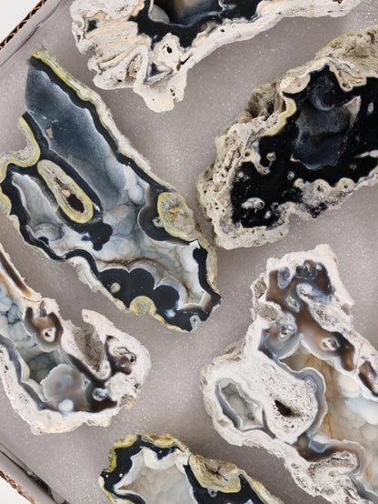 Agatized Coral Set of 12 - Expert Wholesale and Supplier of Wholesale Crystals & Bulk Gemstones, []