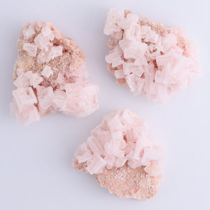 Searles Lake Halite Flat of 6 - Expert Wholesale and Supplier of Wholesale Crystals & Bulk Gemstones, ["Flats","Halite","United States"]