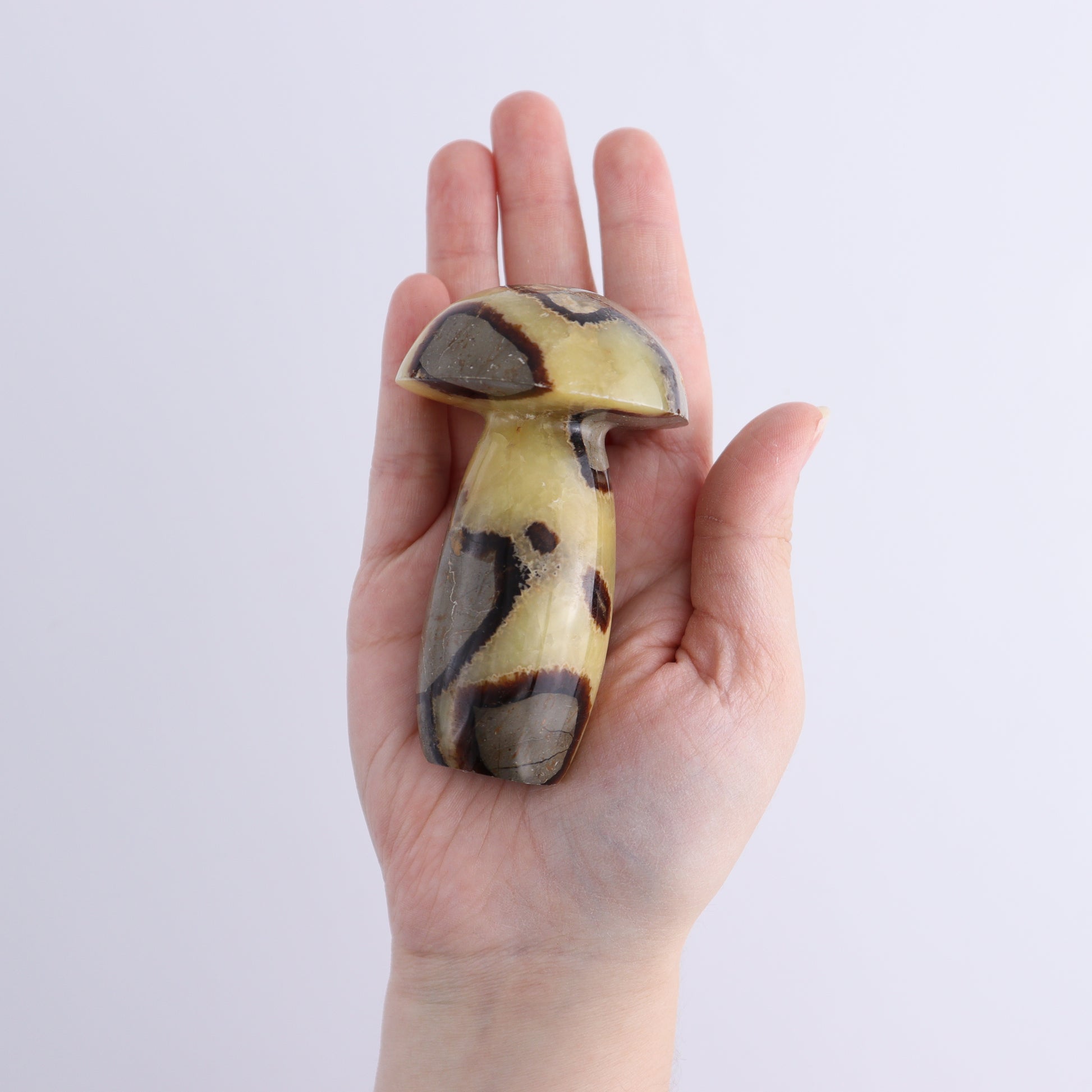Septarian Mushrooms Set of 6 - Expert Wholesale and Supplier of Wholesale Crystals & Bulk Gemstones, ["Mushrooms","Septarian"]