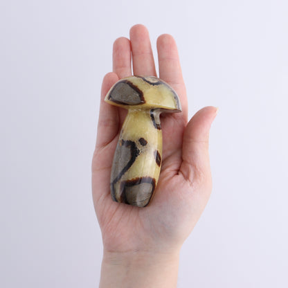 Septarian Mushrooms Set of 6 - Expert Wholesale and Supplier of Wholesale Crystals & Bulk Gemstones, ["Mushrooms","Septarian"]