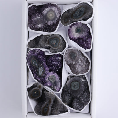 Uruguay Amethyst Clusters with "Eyes" Flat of 8 - Expert Wholesale and Supplier of Wholesale Crystals & Bulk Gemstones, ["Amethyst","Clusters","Eyes Amethyst","Uruguay"]