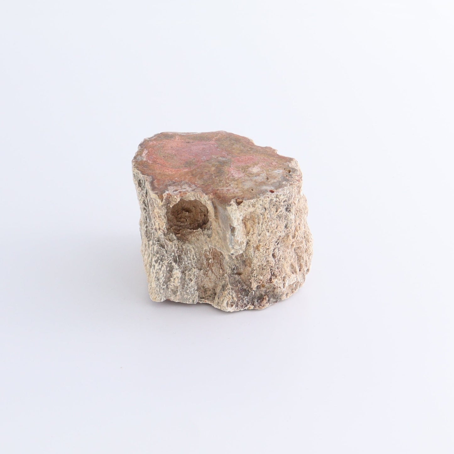 Petrified Wood Cut Bases Set of 4 - Expert Wholesale and Supplier of Wholesale Crystals & Bulk Gemstones, ["Cut Base","Petrified Wood"]