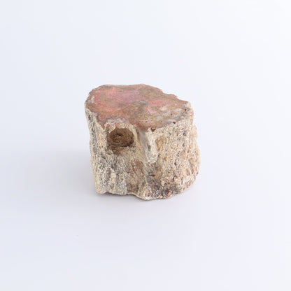 Petrified Wood Cut Bases Set of 4 - Expert Wholesale and Supplier of Wholesale Crystals & Bulk Gemstones, ["Cut Base","Petrified Wood"]