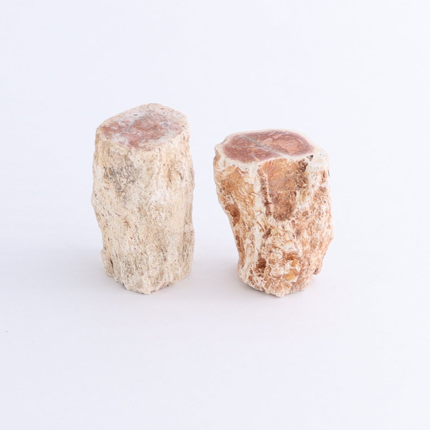 Petrified Wood Cut Bases Set of 10 - Expert Wholesale and Supplier of Wholesale Crystals & Bulk Gemstones, ["Cut Base","Petrified Wood"]