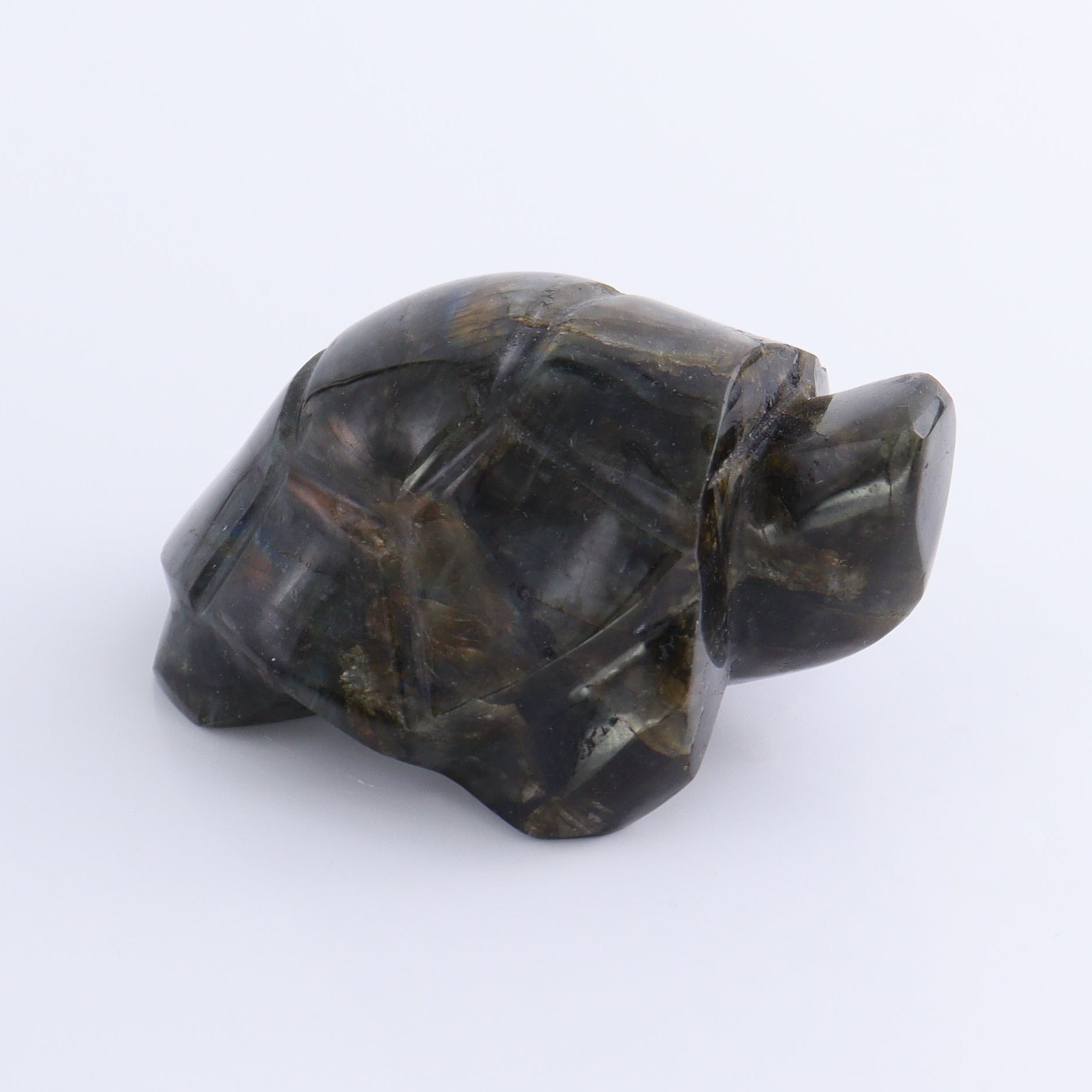 Labradorite Turtles Set of 4 - Expert Wholesale and Supplier of Wholesale Crystals & Bulk Gemstones, ["Labradorite","Madagascar","turtle","Turtles"]