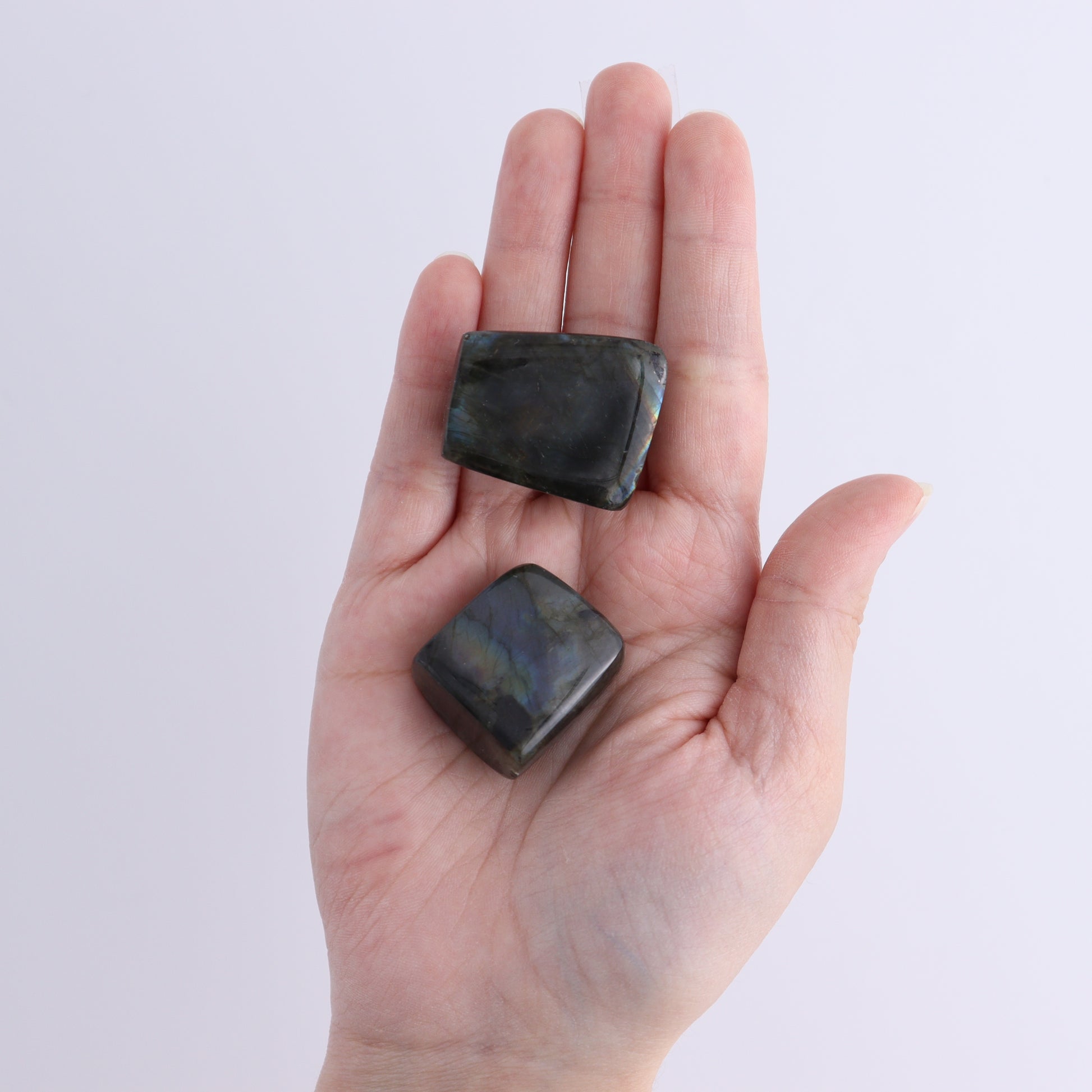 Labradorite Freeform Set of 20 - Expert Wholesale and Supplier of Wholesale Crystals & Bulk Gemstones, ["Freeforms","Labradorite","Madagascar"]