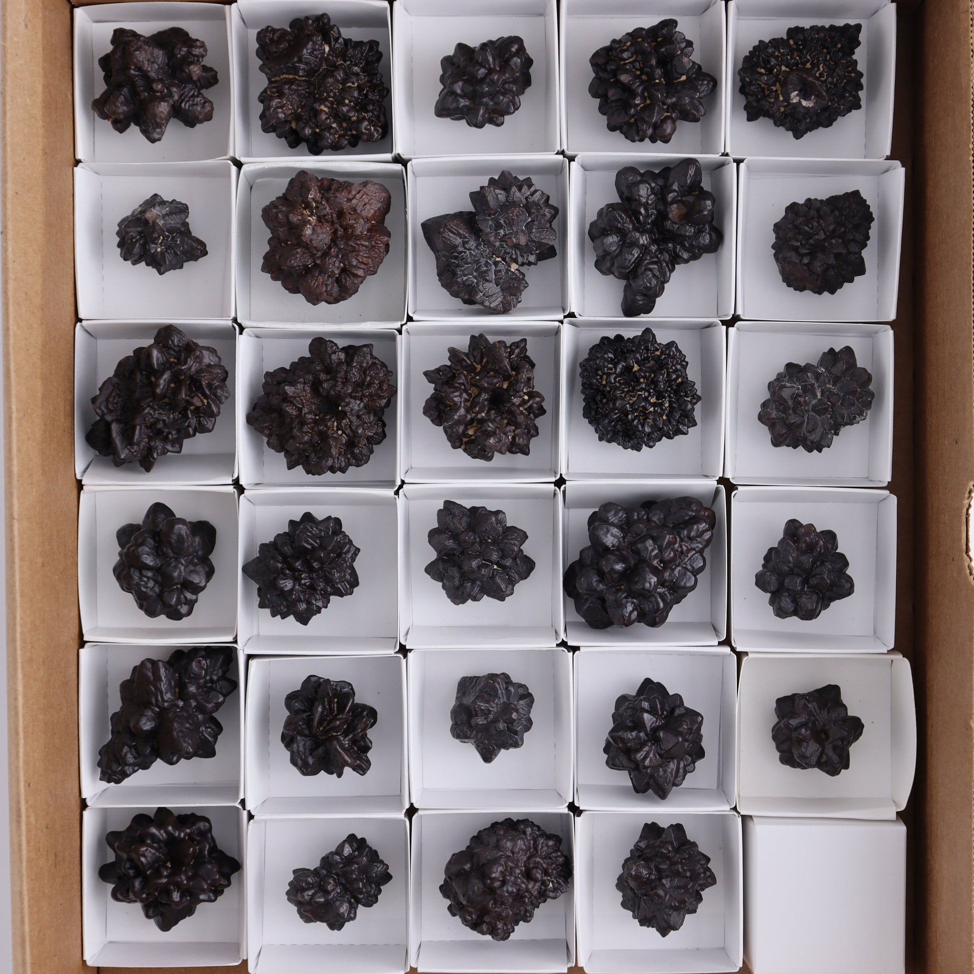 Egyptian Prophecy Stones Flat Set of 29 - Expert Wholesale and Supplier of Wholesale Crystals & Bulk Gemstones, ["Egypt","Freeforms","Prophecy Stone"]