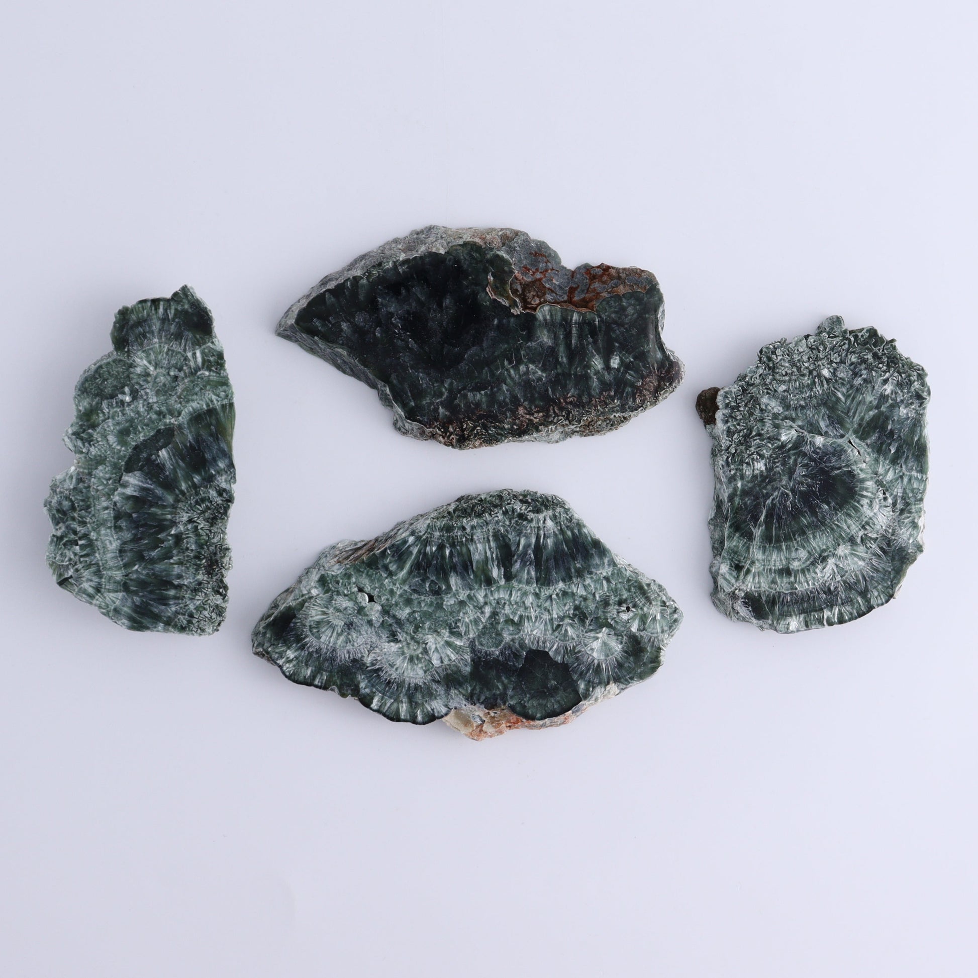 Seraphinite Slices Set of 12 - Expert Wholesale and Supplier of Wholesale Crystals & Bulk Gemstones, ["Seraphinite","Slices and Slabs"]