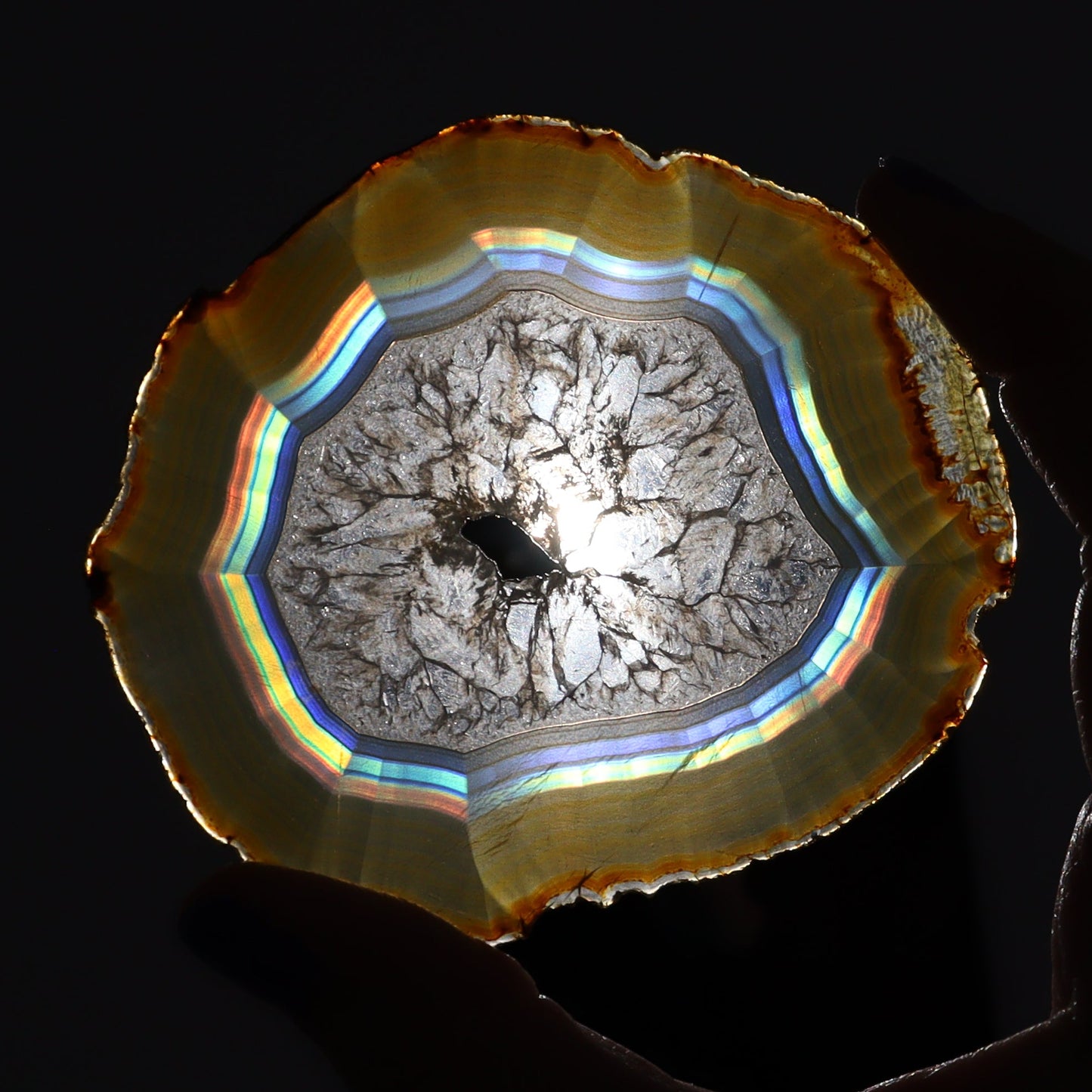 Iris Agate Slices Set of 5 - Expert Wholesale and Supplier of Wholesale Crystals & Bulk Gemstones, ["Agate","Iris Agate","Slices and Slabs"]