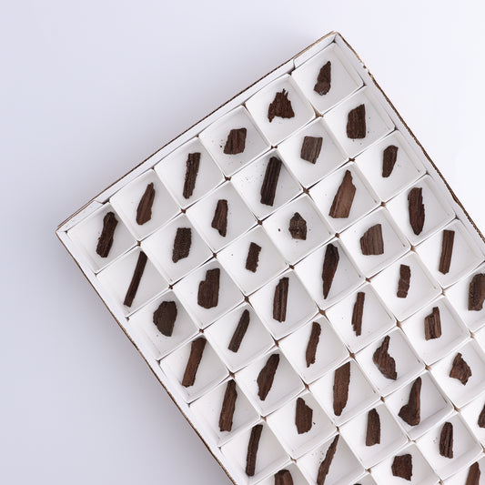 Permineralized Wood Flat of 54 - Expert Wholesale and Supplier of Wholesale Crystals & Bulk Gemstones, ["Flats","Germany","Permineralized Wood"]