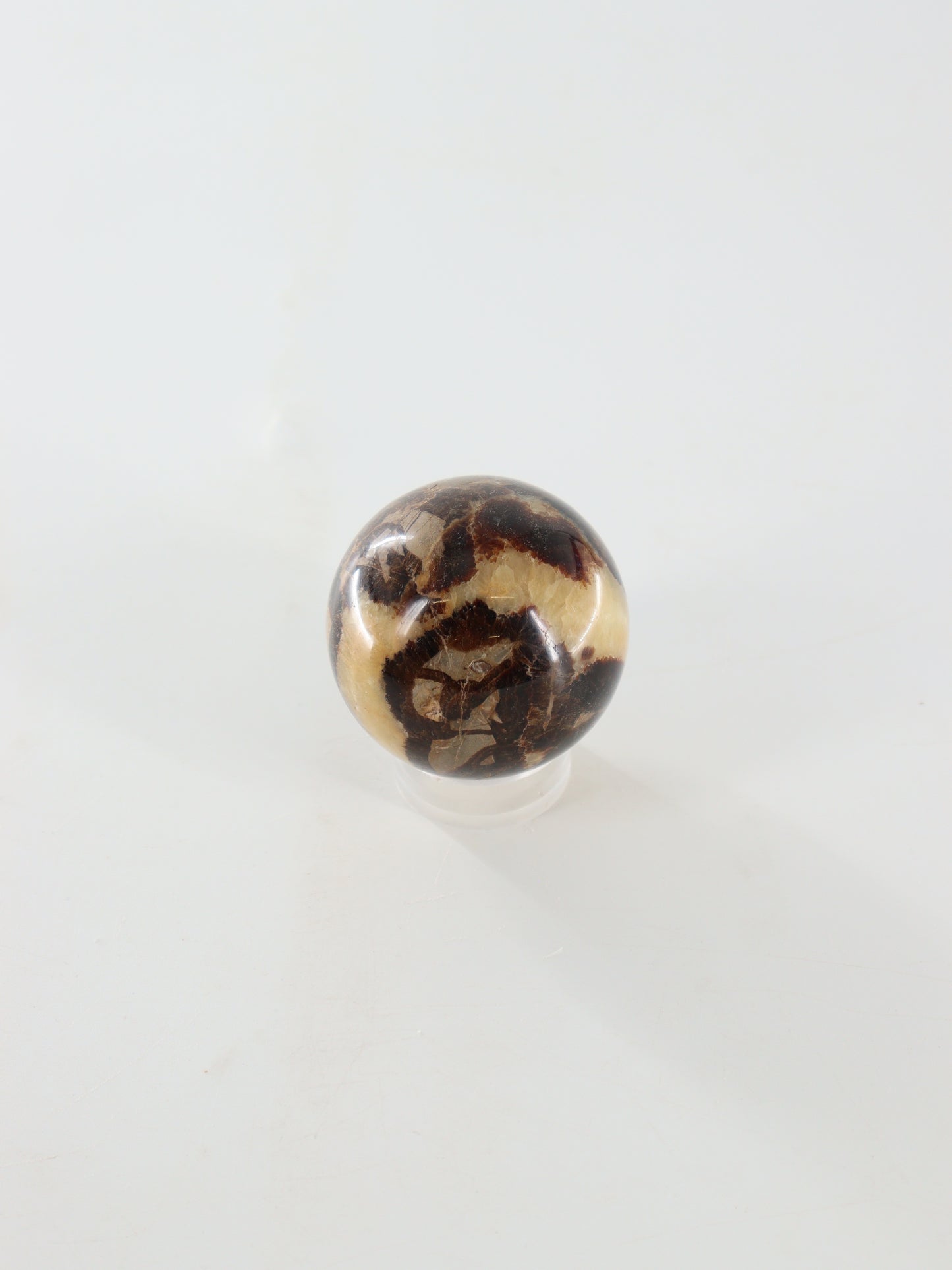 Septarian Spheres Set of 6 - Expert Supplier of Wholesale Crystals & Bulk Gemstones