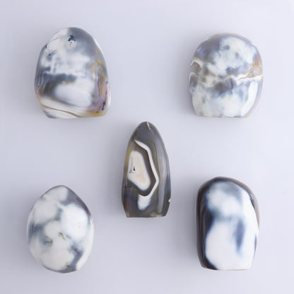 Orca Agate Freeform Set of 5 - Expert Wholesale and Supplier of Wholesale Crystals & Bulk Gemstones, ["Freeforms","Madagascar","Orca Agate"]