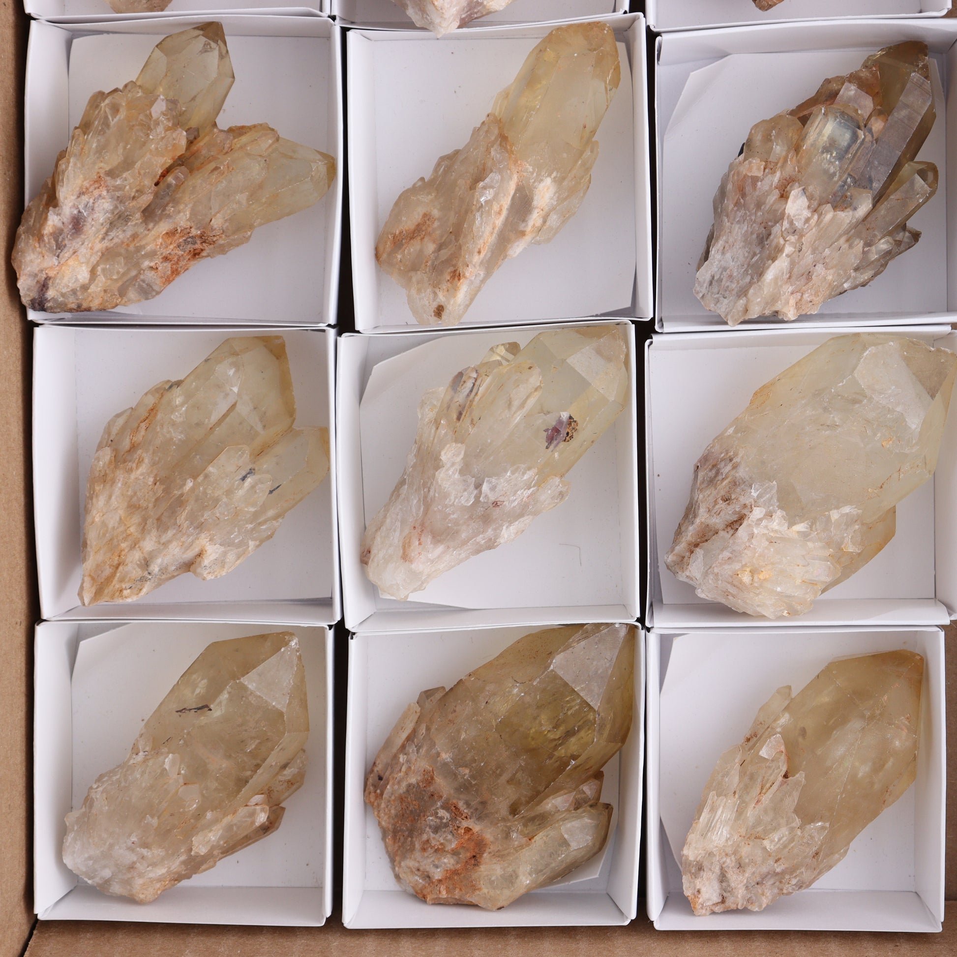 Congo Citrine Set of 12 - Expert Wholesale and Supplier of Wholesale Crystals & Bulk Gemstones, ["Citrine","Congo","Rough","Roughs"]
