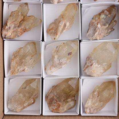 Congo Citrine Set of 12 - Expert Wholesale and Supplier of Wholesale Crystals & Bulk Gemstones, ["Citrine","Congo","Rough","Roughs"]