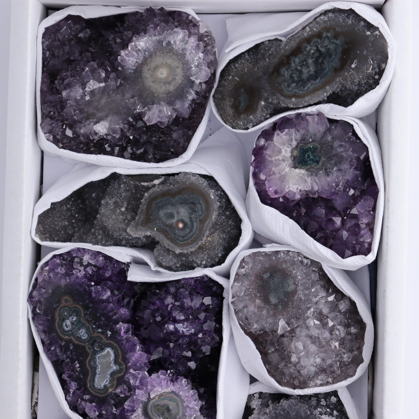 Uruguay Amethyst Clusters with "Eyes" Flat of 8 - Expert Wholesale and Supplier of Wholesale Crystals & Bulk Gemstones, ["Amethyst","Clusters","Eyes Amethyst","Uruguay"]