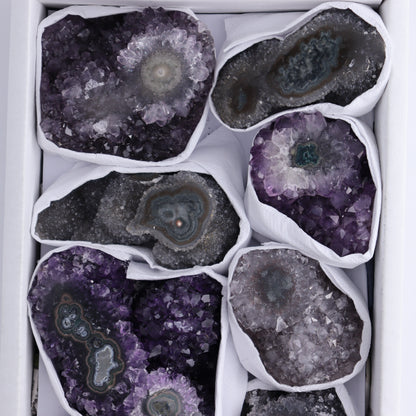 Uruguay Amethyst Clusters with "Eyes" Flat of 8 - Expert Wholesale and Supplier of Wholesale Crystals & Bulk Gemstones, ["Amethyst","Clusters","Eyes Amethyst","Uruguay"]