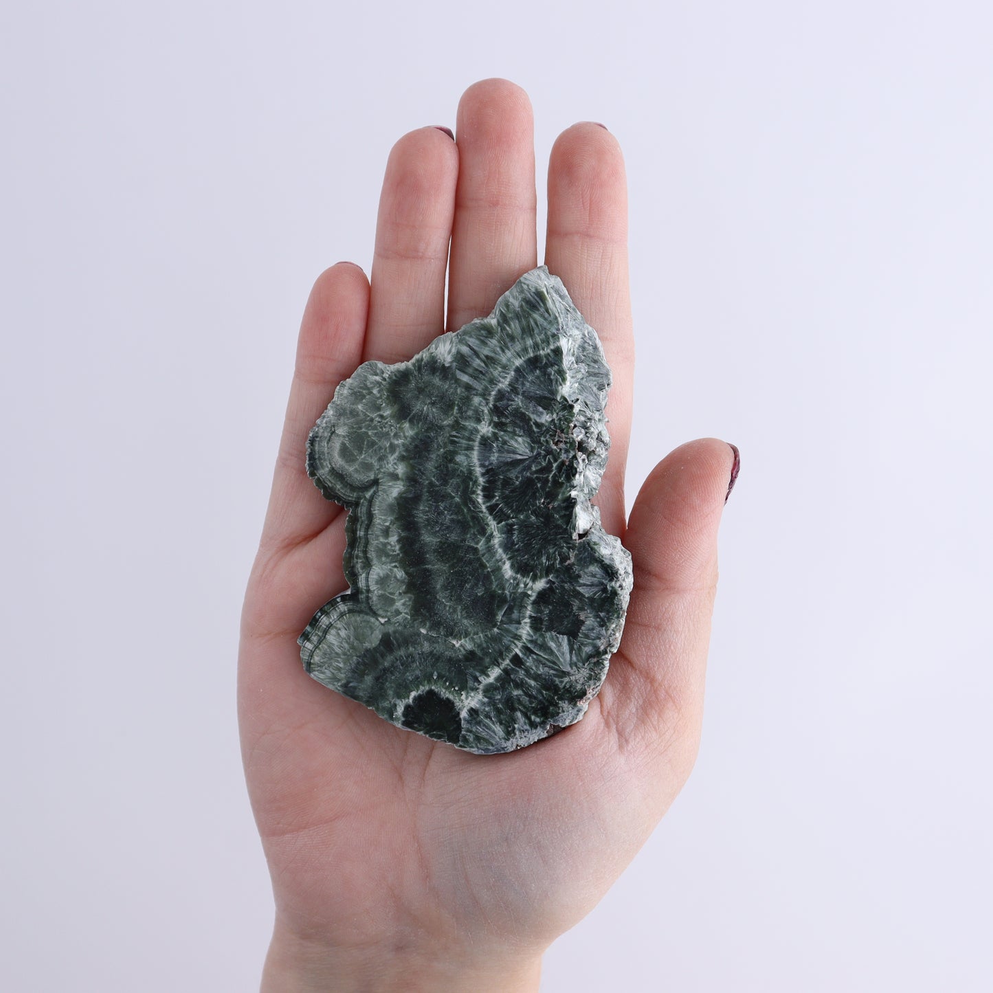 Seraphinite Slices Set of 12 - Expert Wholesale and Supplier of Wholesale Crystals & Bulk Gemstones, ["Seraphinite","Slices and Slabs"]