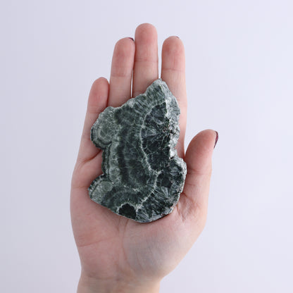 Seraphinite Slices Set of 12 - Expert Wholesale and Supplier of Wholesale Crystals & Bulk Gemstones, ["Seraphinite","Slices and Slabs"]