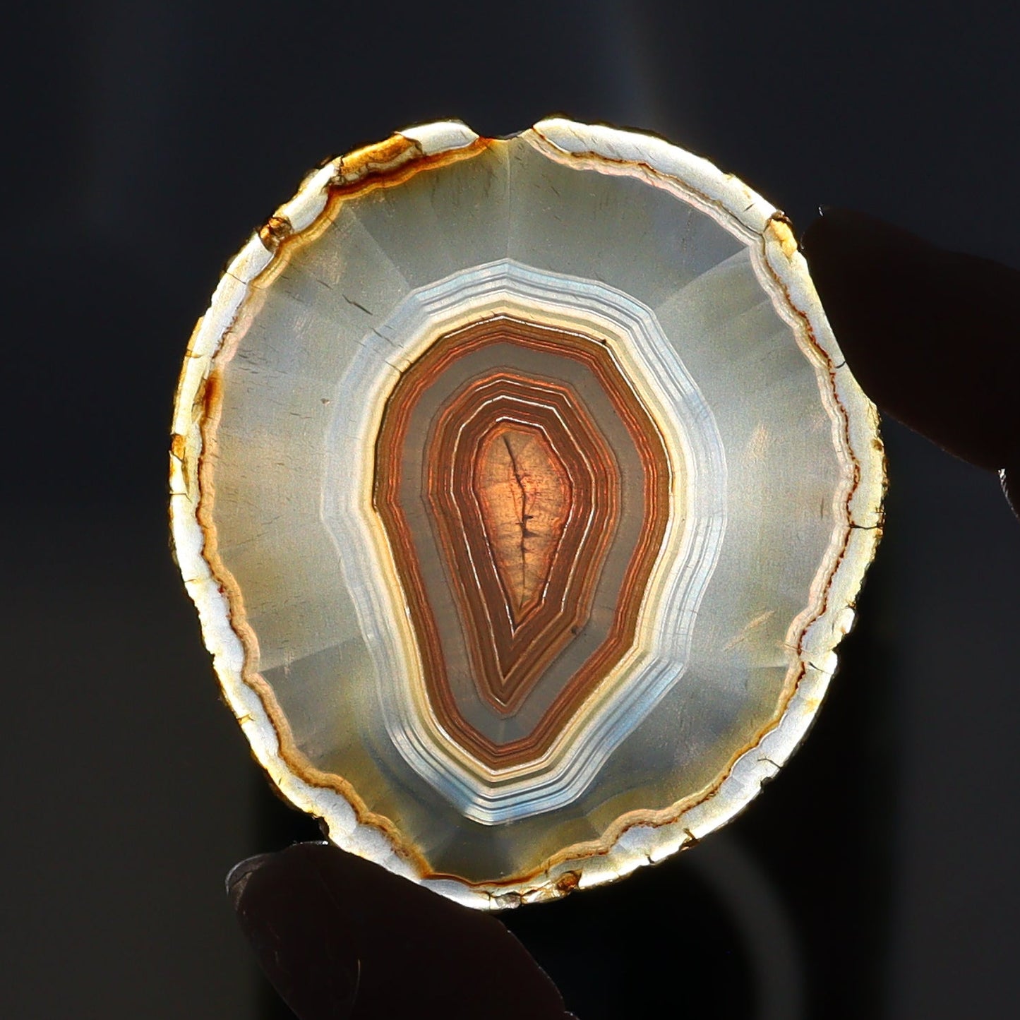 Iris Agate Slices Set of 8 - Expert Wholesale and Supplier of Wholesale Crystals & Bulk Gemstones, ["Agate","Iris Agate","Slices and Slabs"]