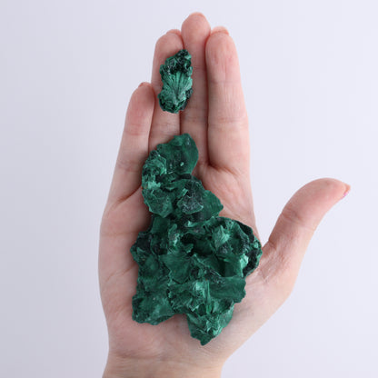 Malachite Freeforms Set of 20 - Expert Wholesale and Supplier of Wholesale Crystals & Bulk Gemstones, ["Freeform","Malachite","South Africa"]