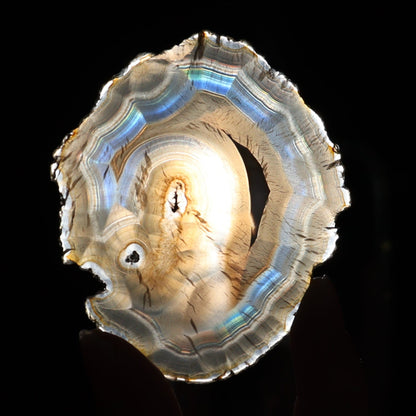 Iris Agate Slices Set of 9 - Expert Wholesale and Supplier of Wholesale Crystals & Bulk Gemstones, ["Agate","Iris Agate","Slices and Slabs"]