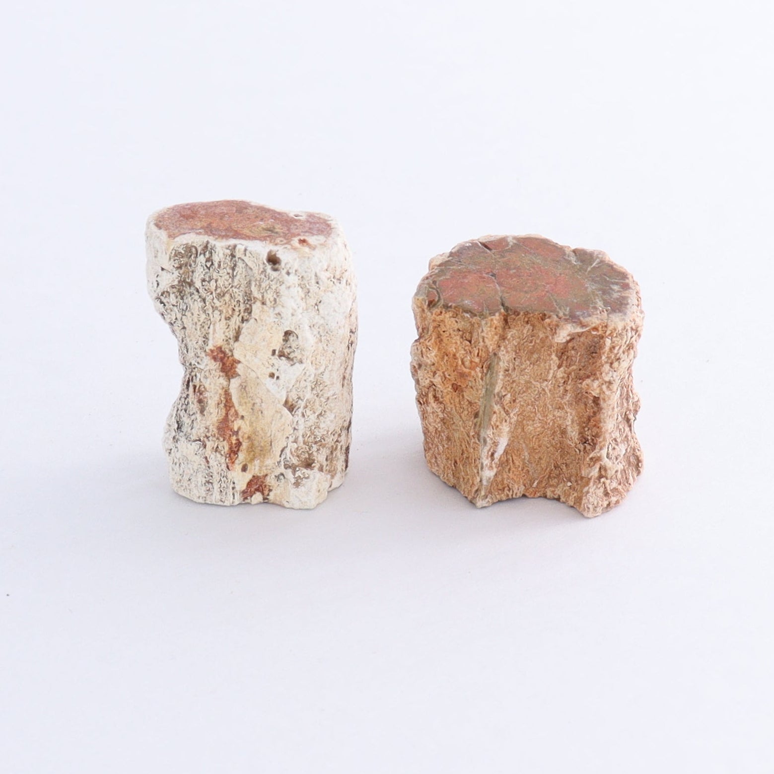 Petrified Wood Cut Bases Set of 10 - Expert Wholesale and Supplier of Wholesale Crystals & Bulk Gemstones, ["Cut Base","Petrified Wood"]