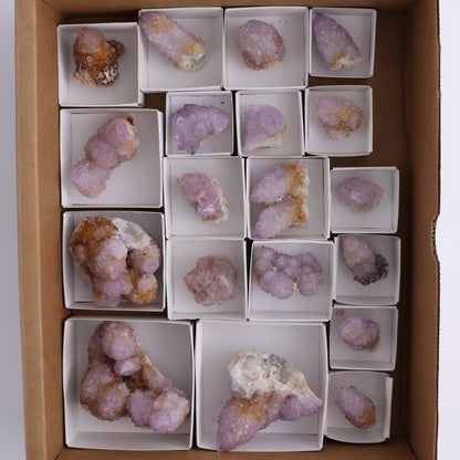 Cactus Quartz Set of 19 - Expert Wholesale and Supplier of Wholesale Crystals & Bulk Gemstones, ["cactus quartz","Quartz","South Africa"]