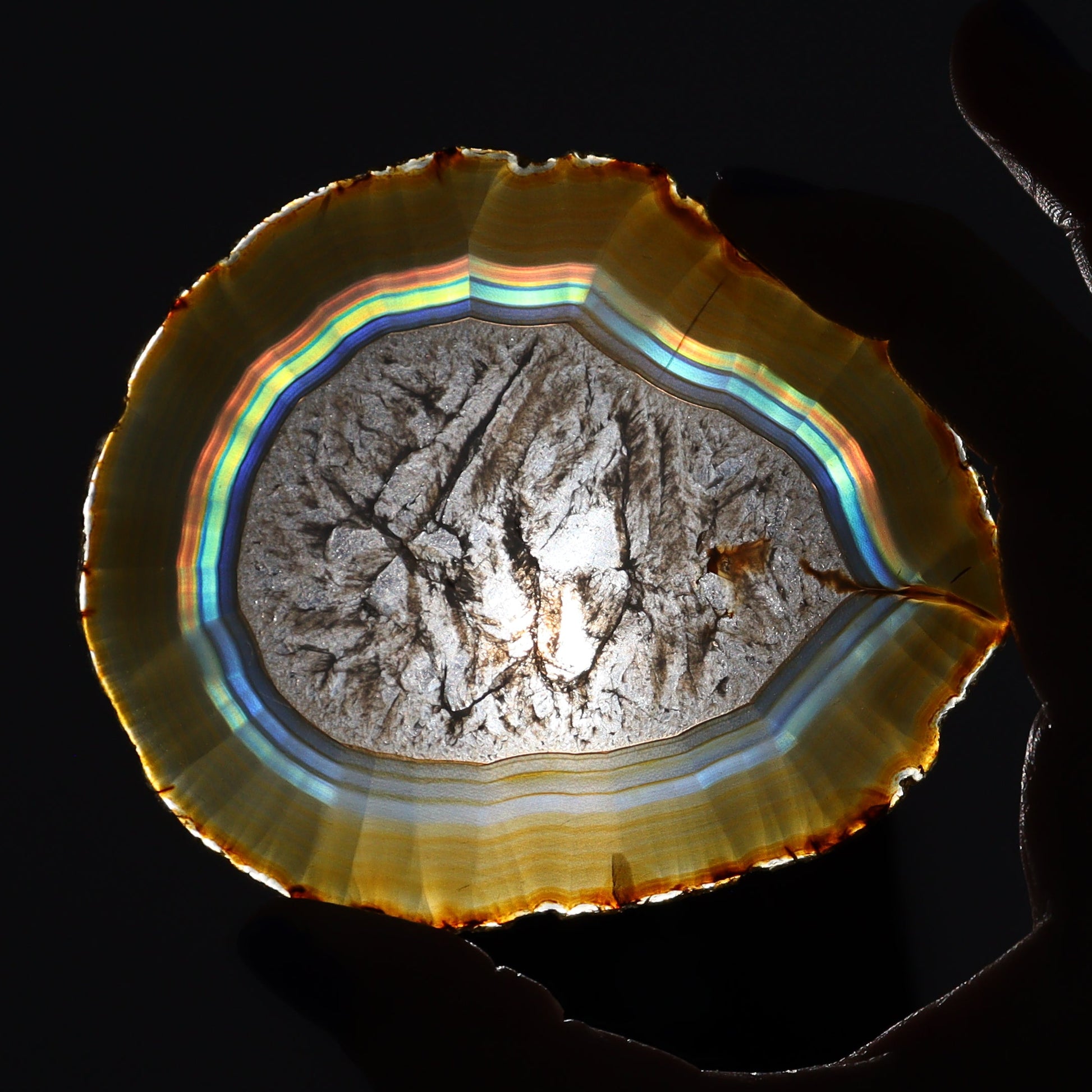 Iris Agate Slices Set of 5 - Expert Wholesale and Supplier of Wholesale Crystals & Bulk Gemstones, ["Agate","Iris Agate","Slices and Slabs"]