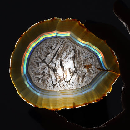 Iris Agate Slices Set of 5 - Expert Wholesale and Supplier of Wholesale Crystals & Bulk Gemstones, ["Agate","Iris Agate","Slices and Slabs"]