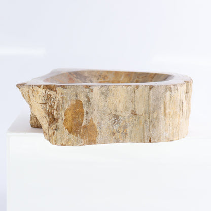 Petrified Wood Bowls Set of 2 - Expert Wholesale and Supplier of Wholesale Crystals & Bulk Gemstones, ["Bowls","Indonesia","Petrified Wood"]