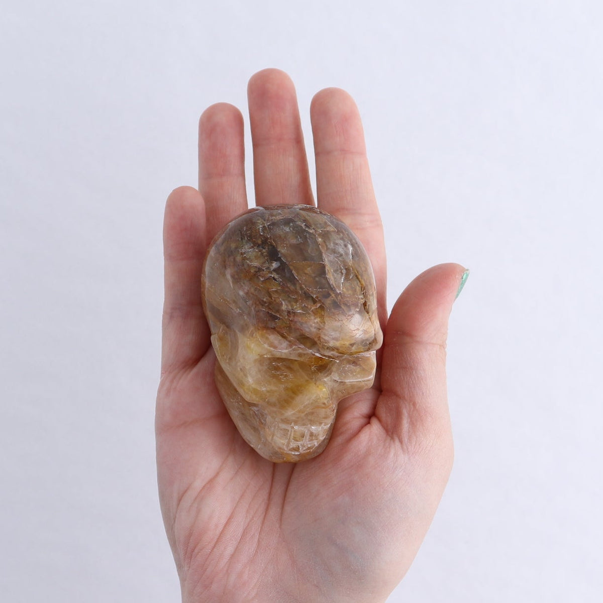 Golden Healer Skulls Set of 4