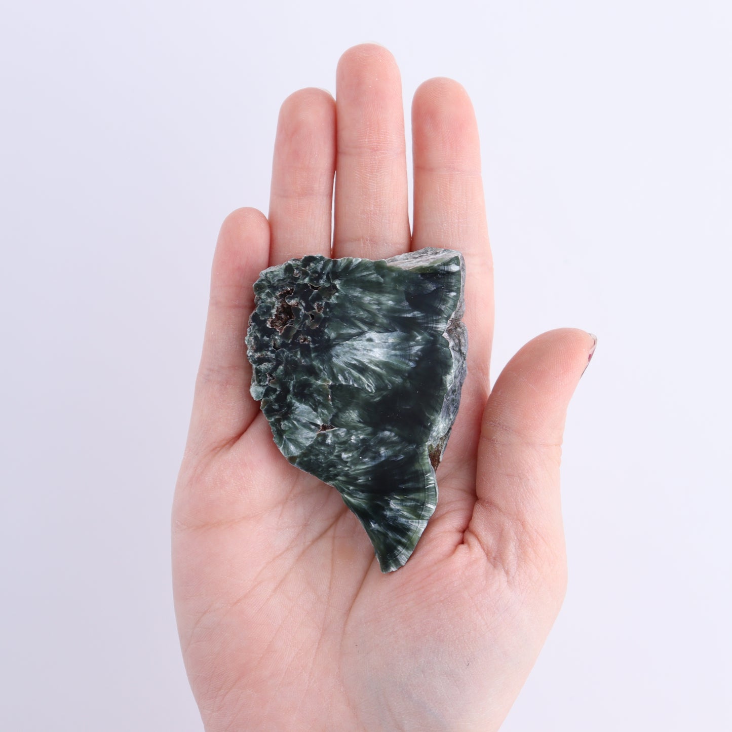 Seraphinite Slices Set of 6 - Expert Wholesale and Supplier of Wholesale Crystals & Bulk Gemstones, ["Russia","Seraphinite","Slices and Slabs"]