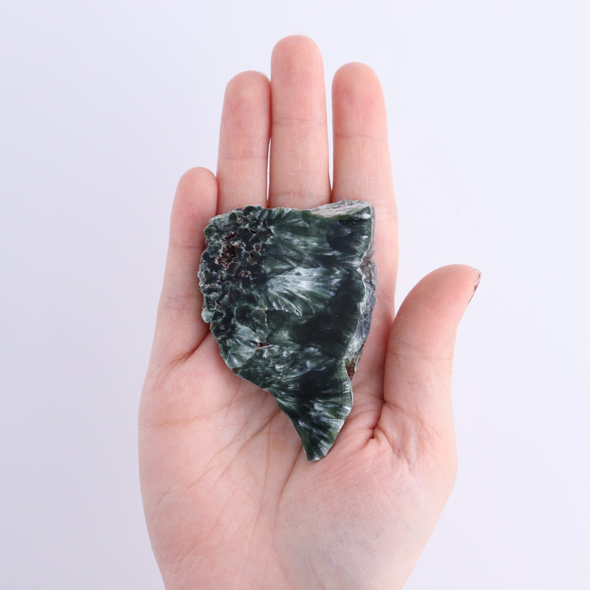 Seraphinite Slices Set of 6 - Expert Wholesale and Supplier of Wholesale Crystals & Bulk Gemstones, ["Russia","Seraphinite","Slices and Slabs"]
