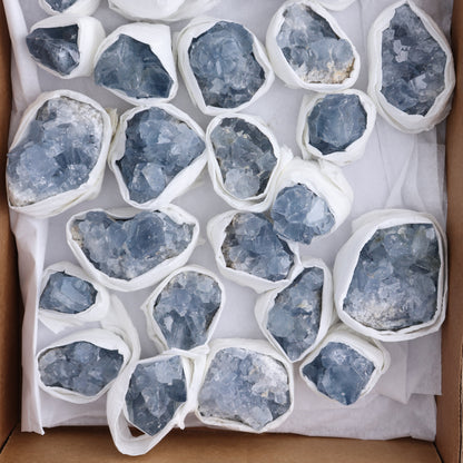Celestite Clusters Set of 24