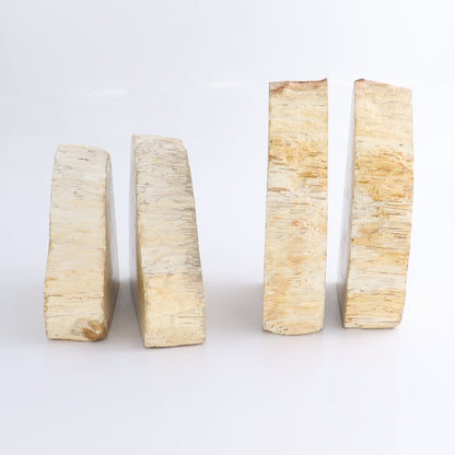 One Pair of Petrified Wood Rough Bookend