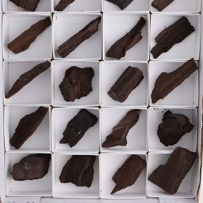 Permineralized Wood Flat of 24 - Expert Wholesale and Supplier of Wholesale Crystals & Bulk Gemstones, ["Flats","Germany","Permineralized Wood"]