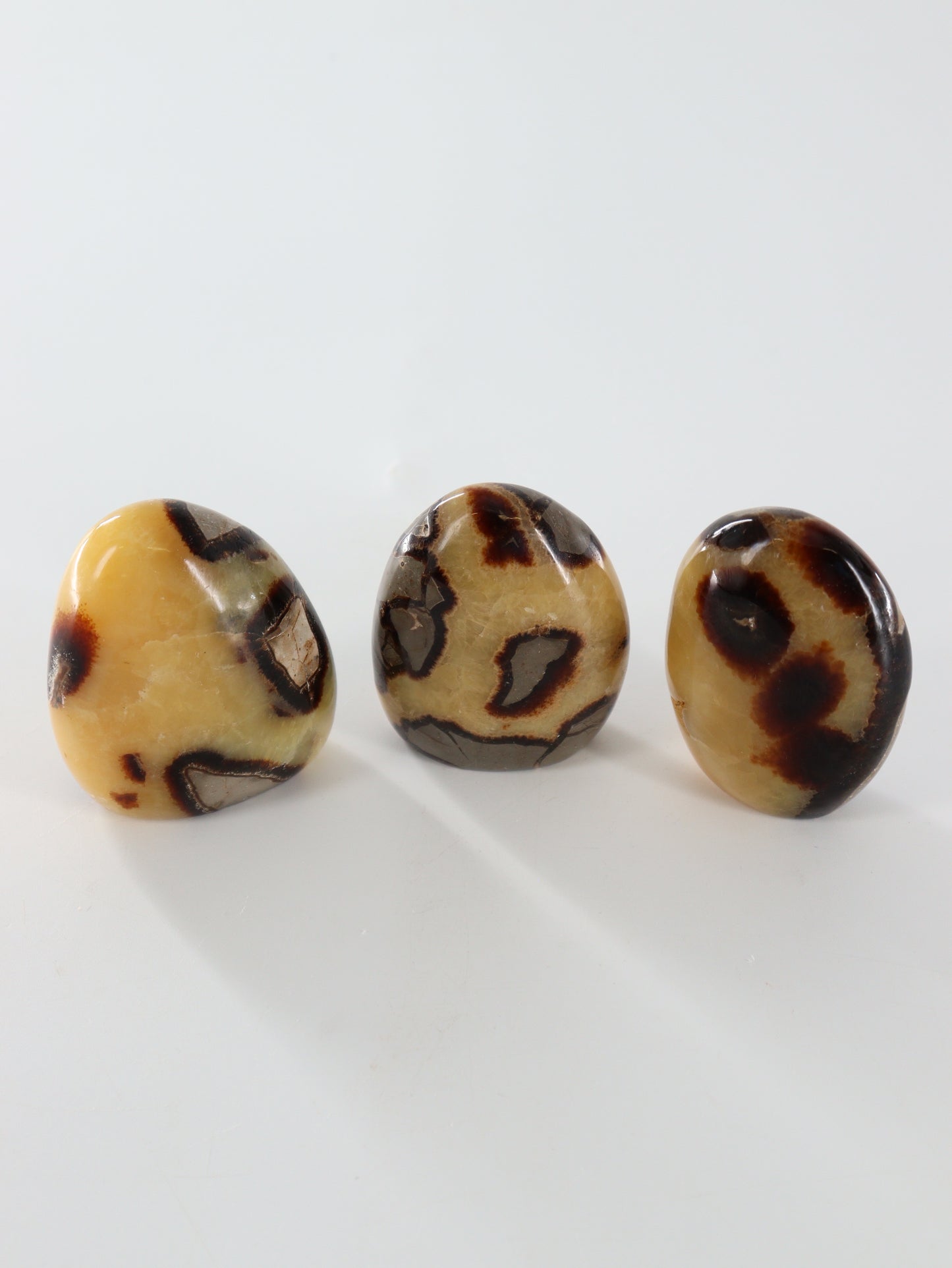 Sepatarian Freeforms Set of 12 - Expert Wholesale and Supplier of Wholesale Crystals & Bulk Gemstones, []