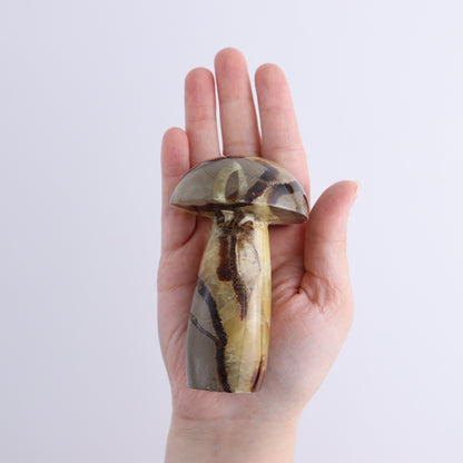 Septarian Mushrooms Set of 6 - Expert Wholesale and Supplier of Wholesale Crystals & Bulk Gemstones, ["Mushrooms","Septarian"]
