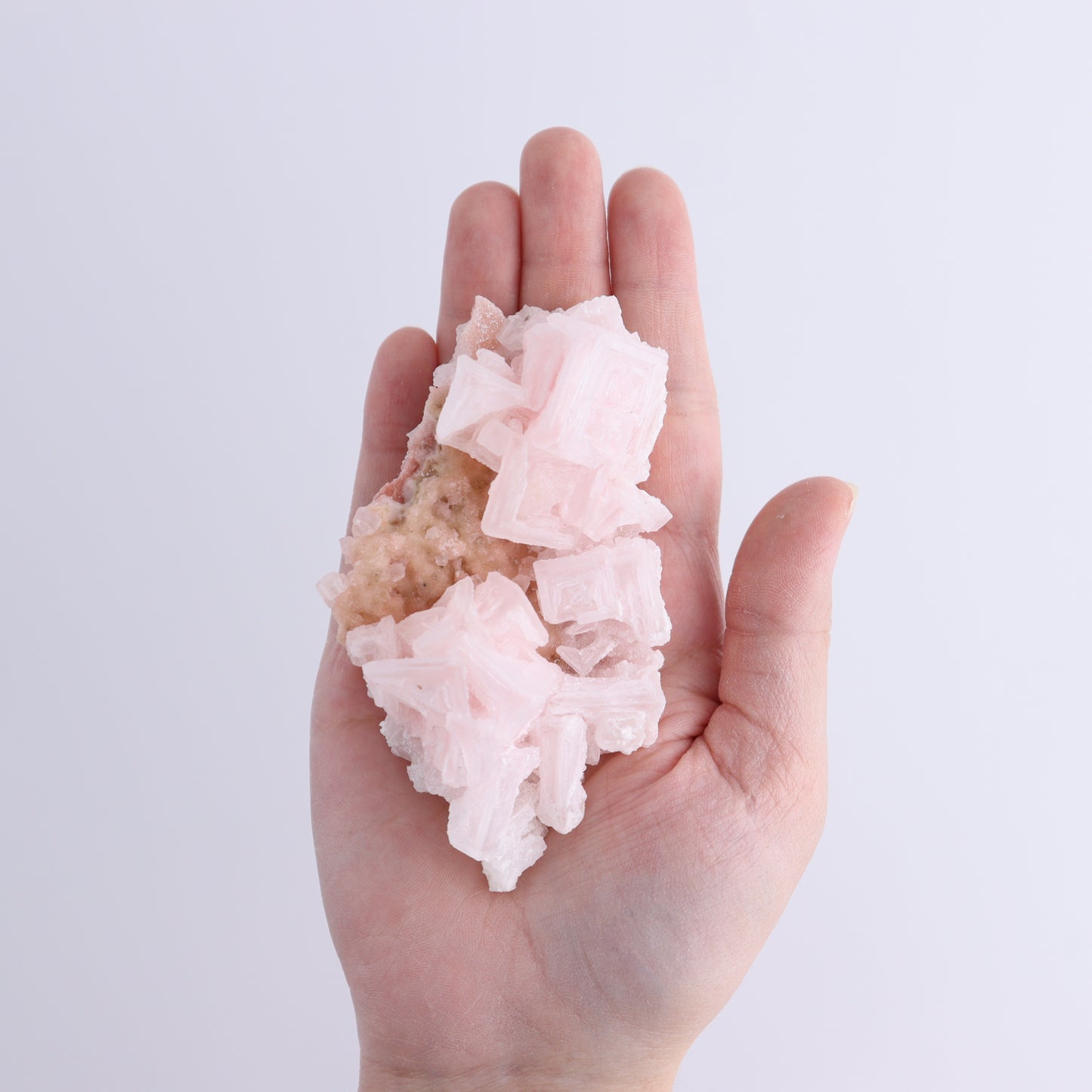 Searles Lake Halite Flat of 6 - Expert Wholesale and Supplier of Wholesale Crystals & Bulk Gemstones, ["Flats","Halite","United States"]