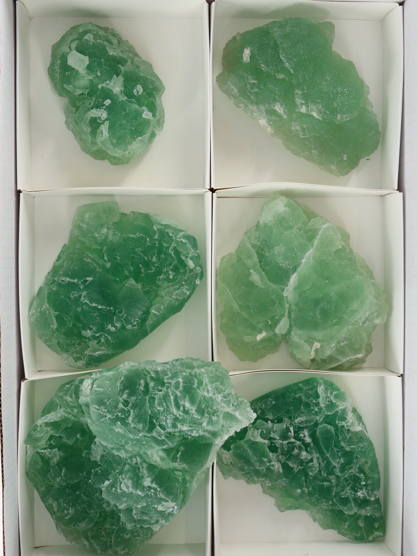 Fluorite Flat Set of 6