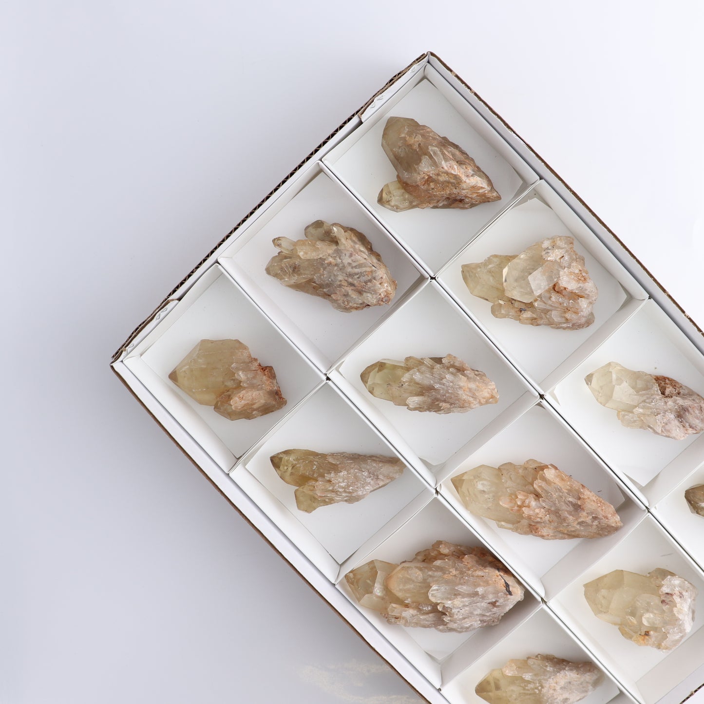 Congo Citrine Set of 12