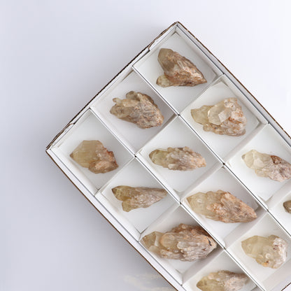 Congo Citrine Set of 12