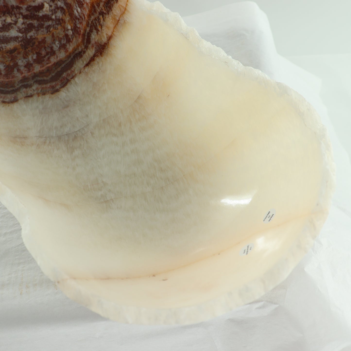 Onyx Canoe Bowl - Expert Wholesale and Supplier of Wholesale Crystals & Bulk Gemstones, ["Bowls","canoe","close_30","Mexico","onyx"]