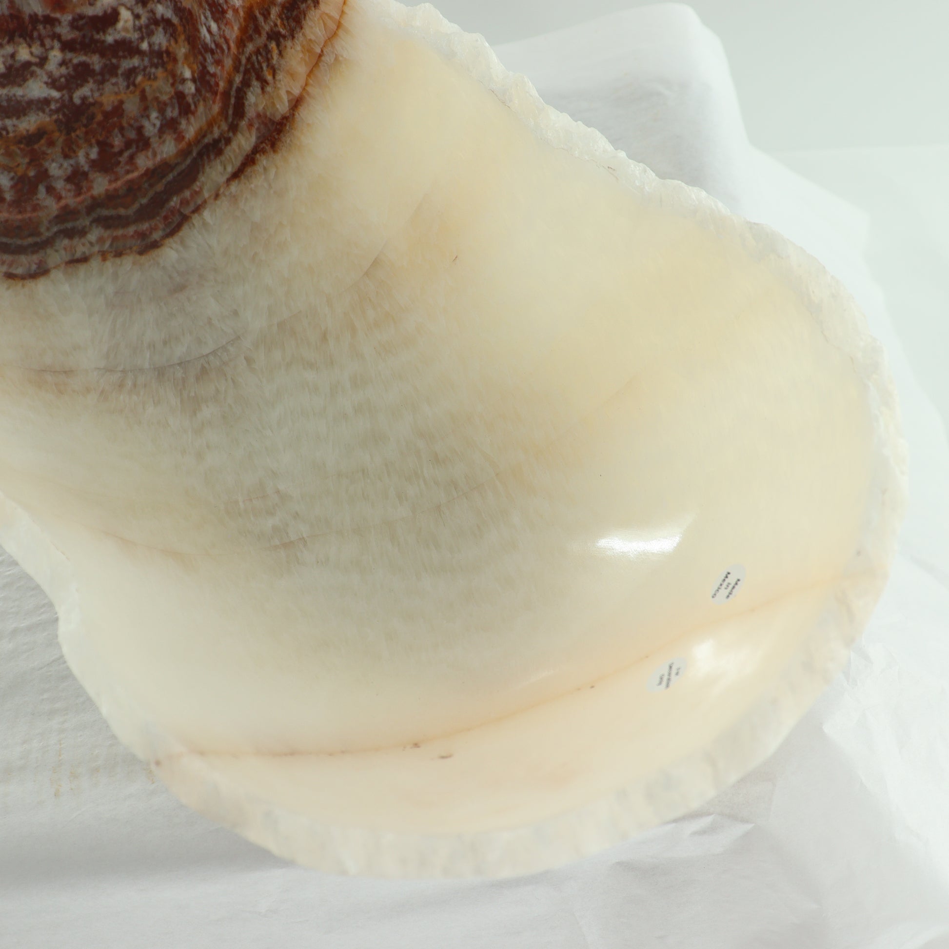 Onyx Canoe Bowl - Expert Wholesale and Supplier of Wholesale Crystals & Bulk Gemstones, ["Bowls","canoe","close_30","Mexico","onyx"]