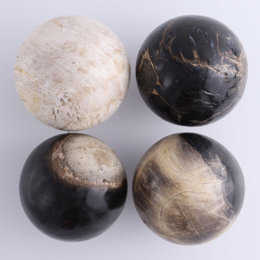 Petrified Wood Spheres Set of 4 - Expert Wholesale and Supplier of Wholesale Crystals & Bulk Gemstones, ["Indonesia","Petrified Wood","Spheres"]