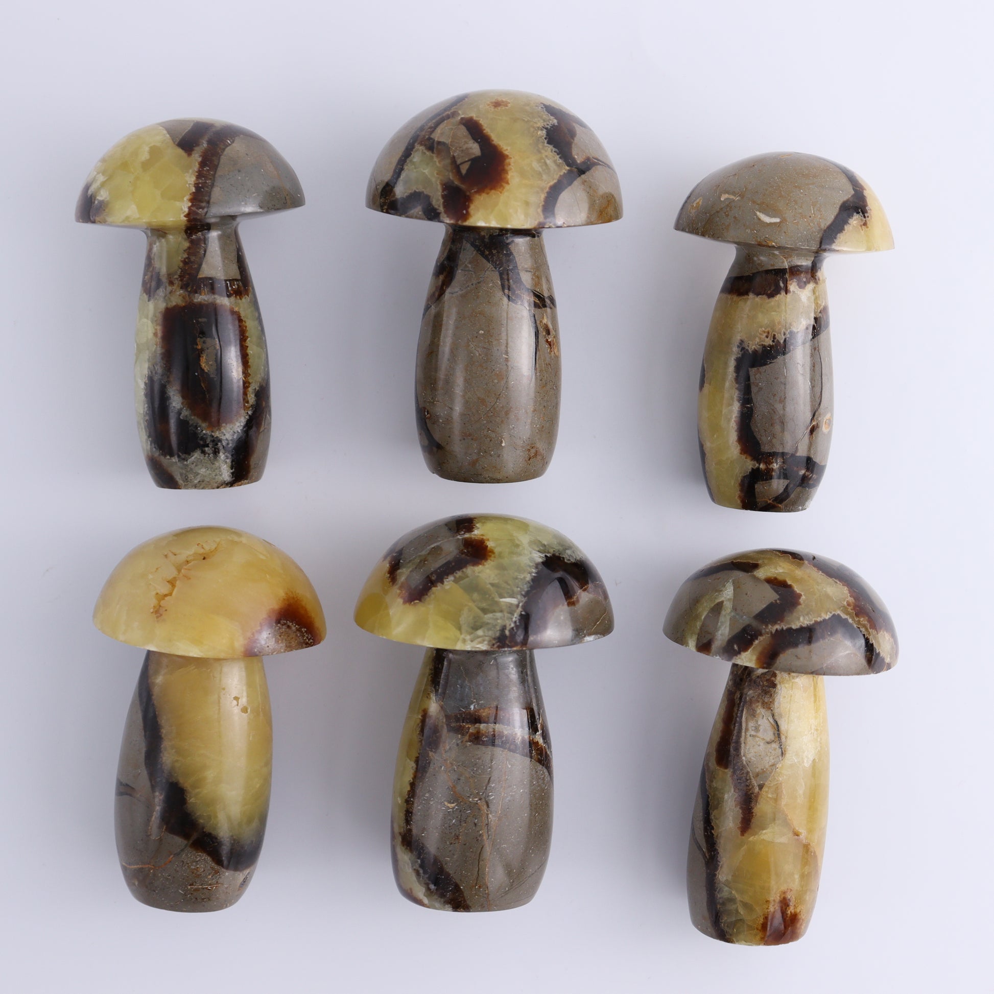 Septarian Mushrooms Set of 6 - Expert Wholesale and Supplier of Wholesale Crystals & Bulk Gemstones, ["Mushrooms","Septarian"]