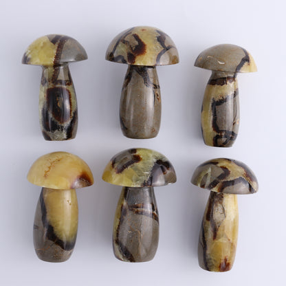 Septarian Mushrooms Set of 6 - Expert Wholesale and Supplier of Wholesale Crystals & Bulk Gemstones, ["Mushrooms","Septarian"]