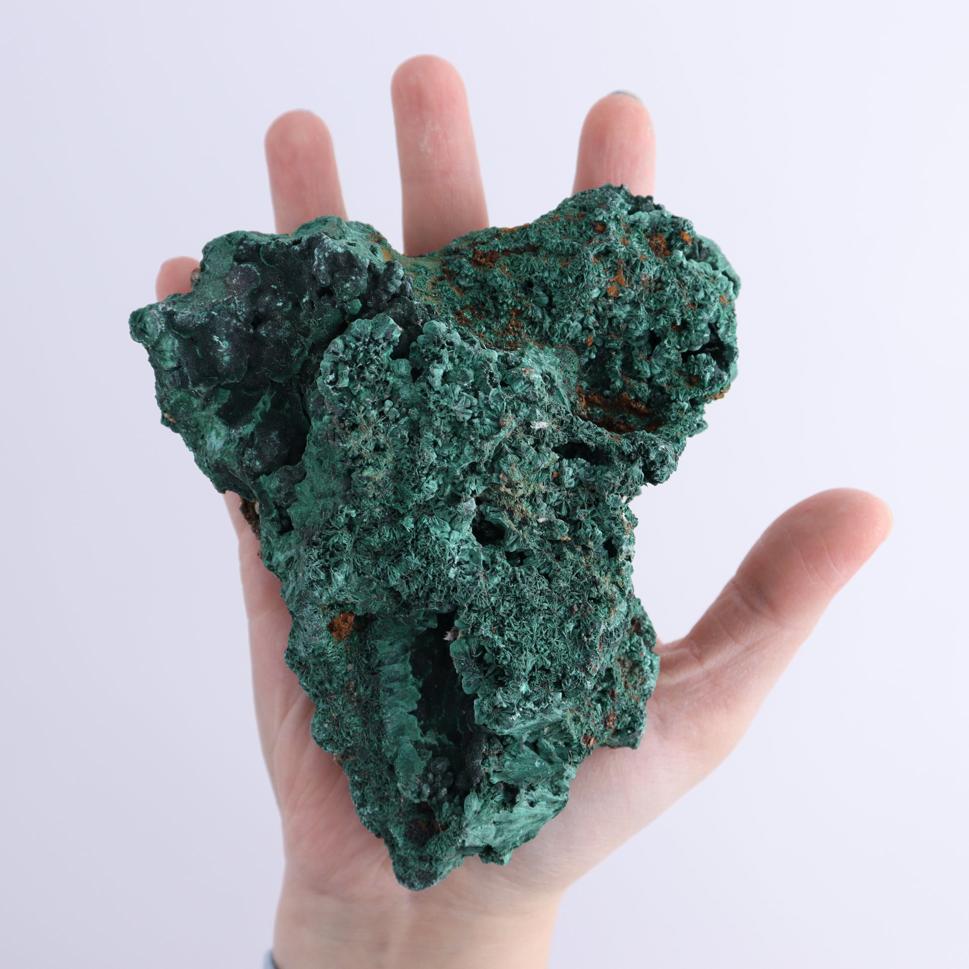 Malachite Freeforms Set of 2 - Expert Wholesale and Supplier of Wholesale Crystals & Bulk Gemstones, ["close_50","Freeform","Malachite","South Africa"]